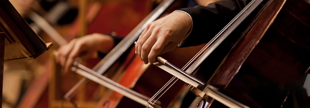 hands of a man playing the cello